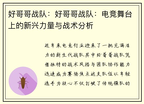 好哥哥战队：好哥哥战队：电竞舞台上的新兴力量与战术分析